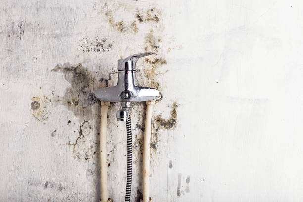 Best Professional Mold Removal  in Hiram, GA