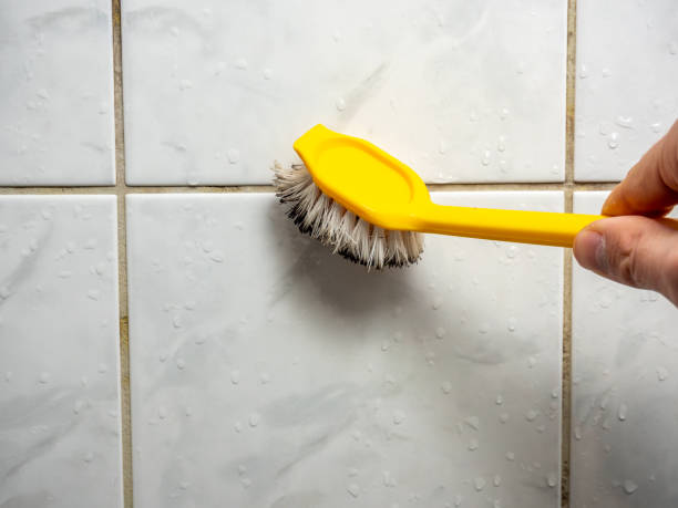 Best Office Mold Removal Services  in Hiram, GA