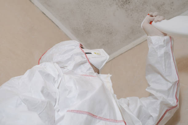 Best Mold Removal Company Near Me  in Hiram, GA