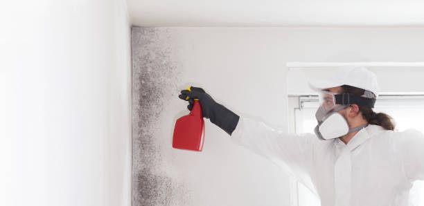 Best Mold Cleaning Services  in Hiram, GA