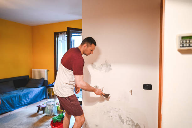 Best Fast Mold Removal  in Hiram, GA