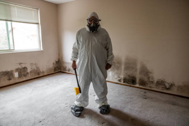 Best Toxic Mold Removal  in Hiram, GA